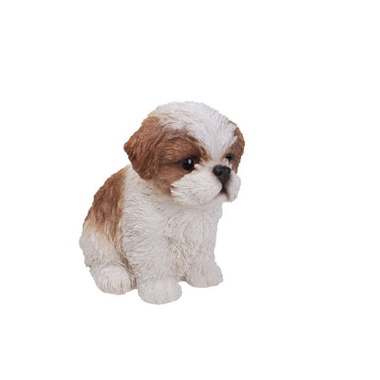 Brown & White Shih Tzu Puppy