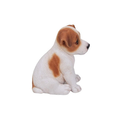 Jack Russell Terrier Puppy