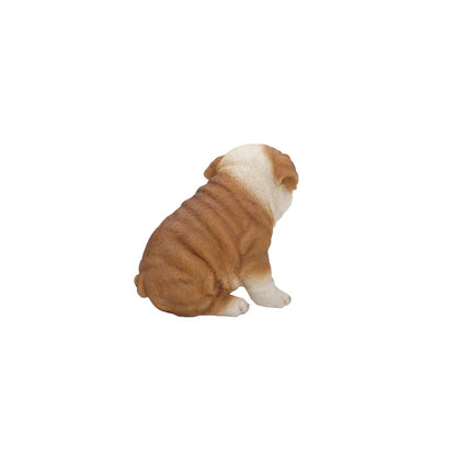 Bulldog Puppy