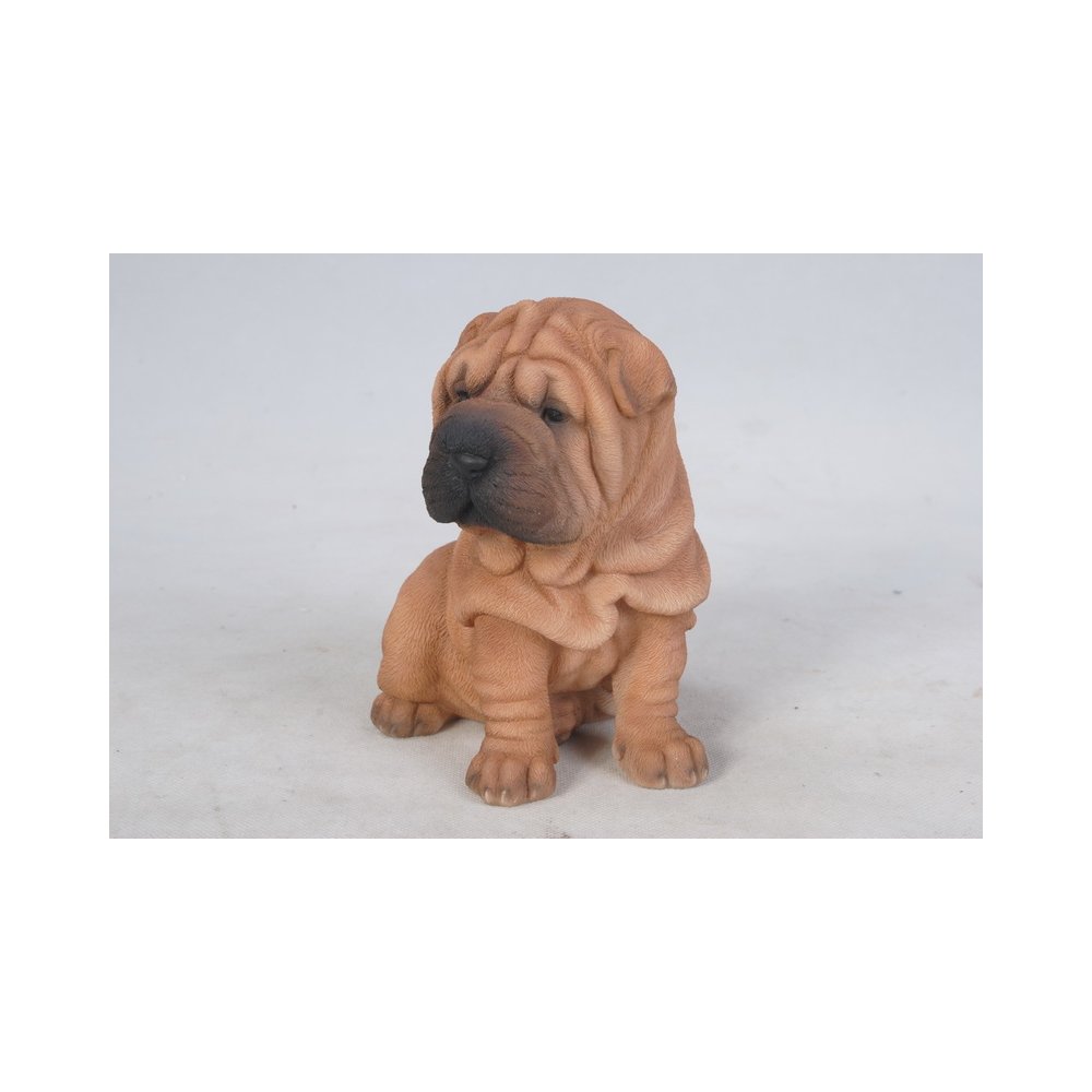 Shar Pei Puppy