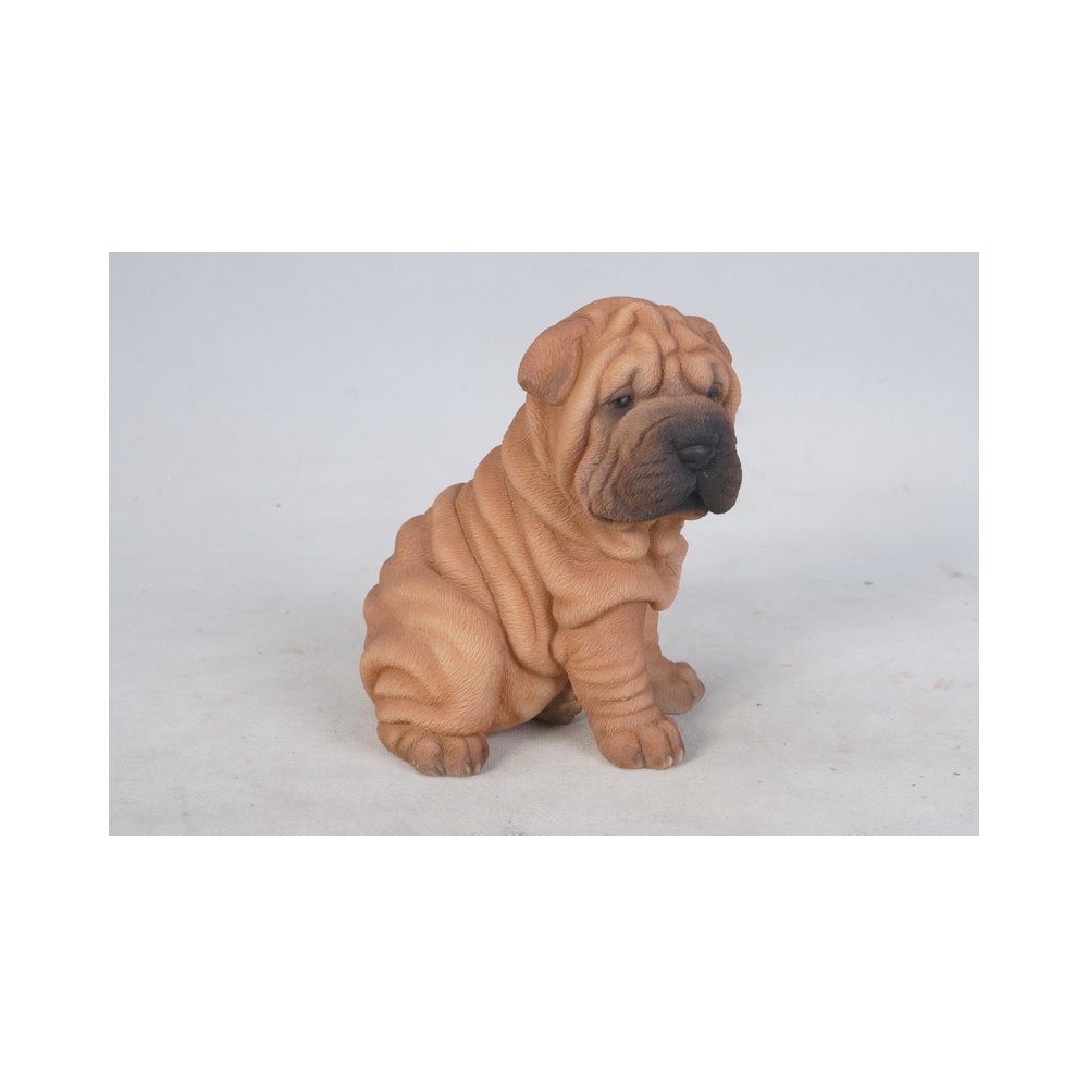 Shar Pei Puppy