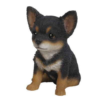 Black & Brown Chihuahua Puppy
