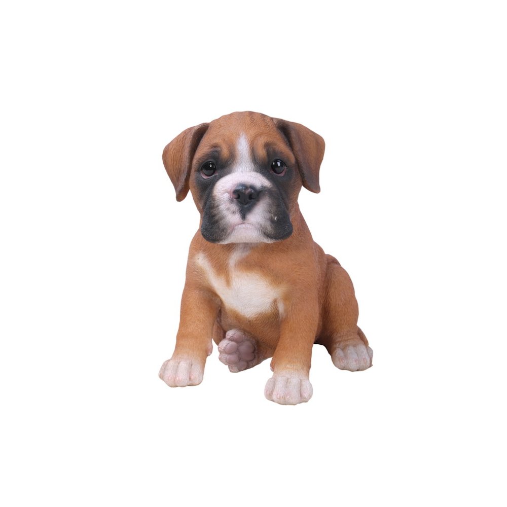 Boxer Puppy
