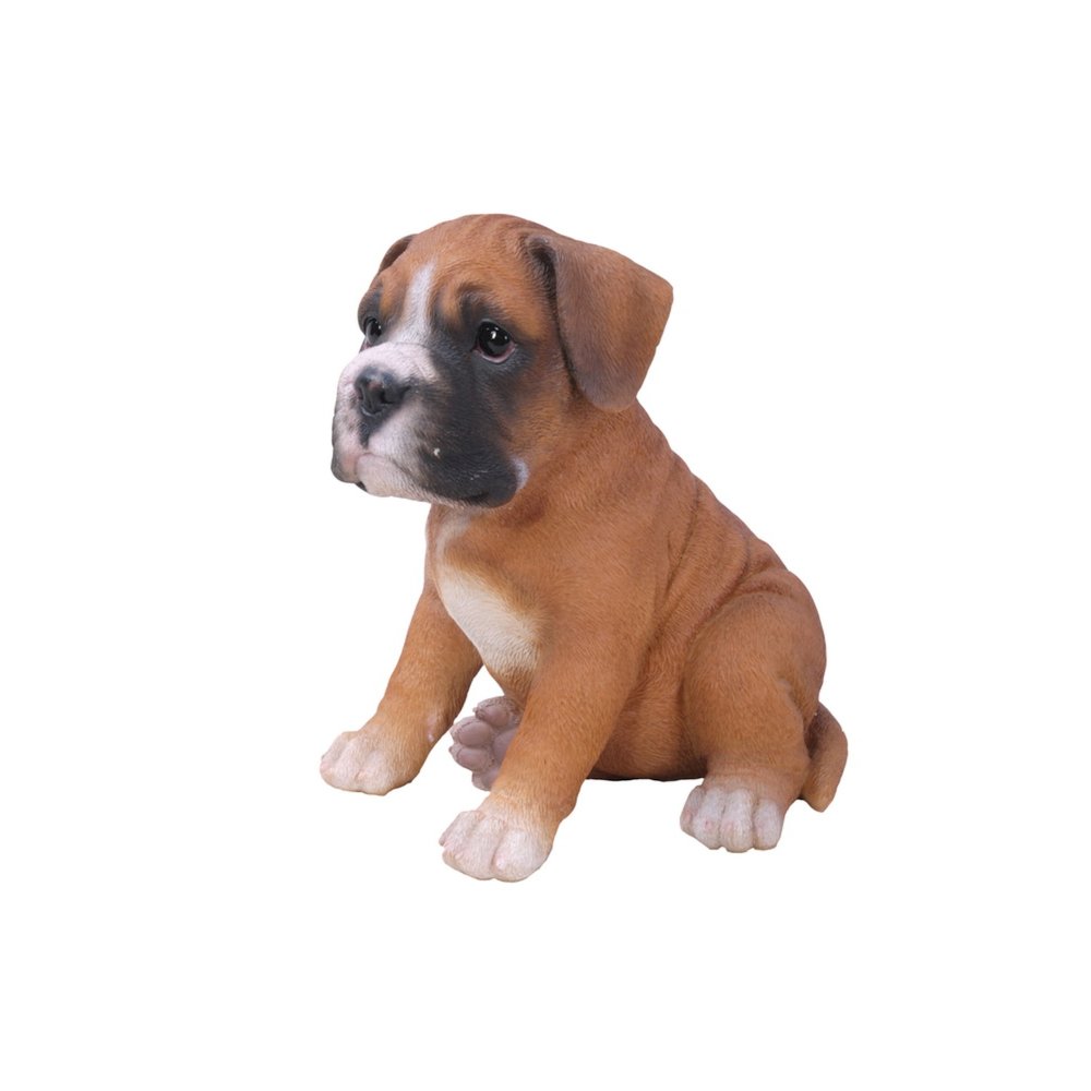 Boxer Puppy