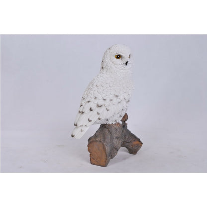 Snowy Owl On Stump