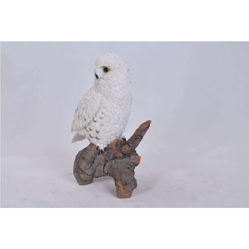 Snowy Owl On Stump