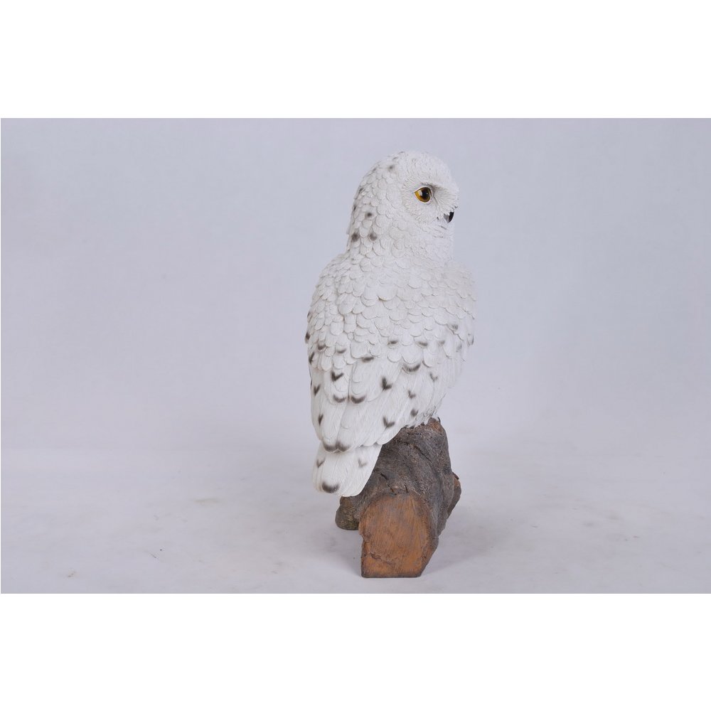 Snowy Owl On Stump