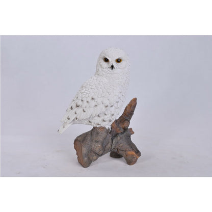 Snowy Owl On Stump