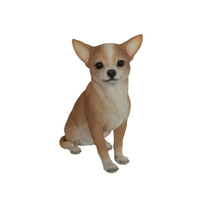 Sitting Chihuahua
