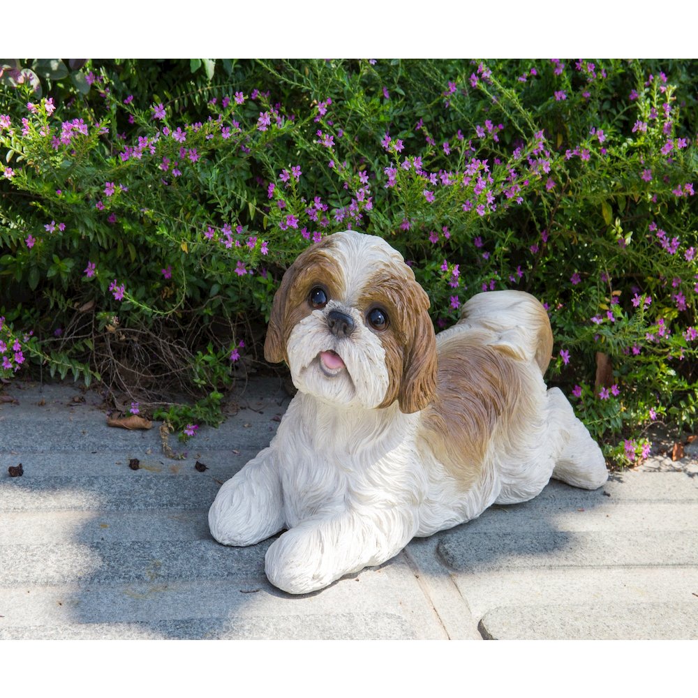 Shih Tzu Lying Down - Brown/White