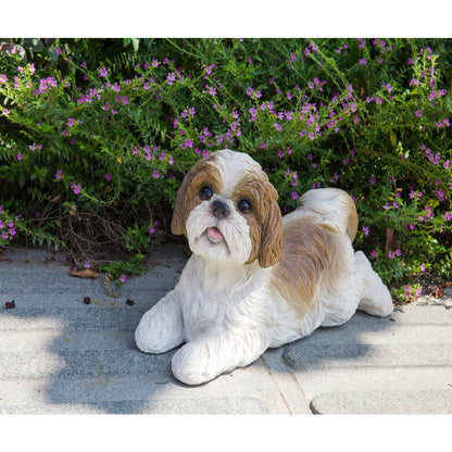 Shih Tzu Lying Down - Brown/White