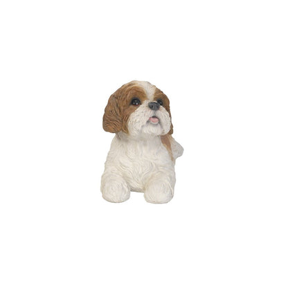 Shih Tzu Lying Down - Brown/White