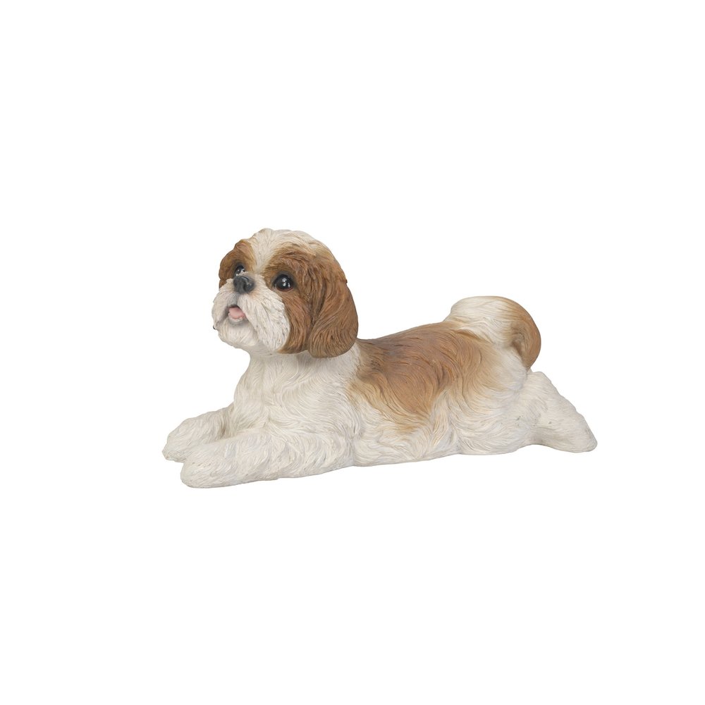 Shih Tzu Lying Down - Brown/White