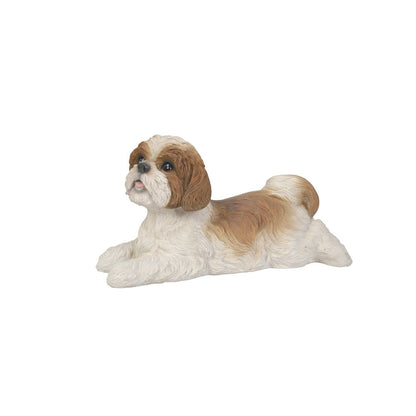 Shih Tzu Lying Down - Brown/White