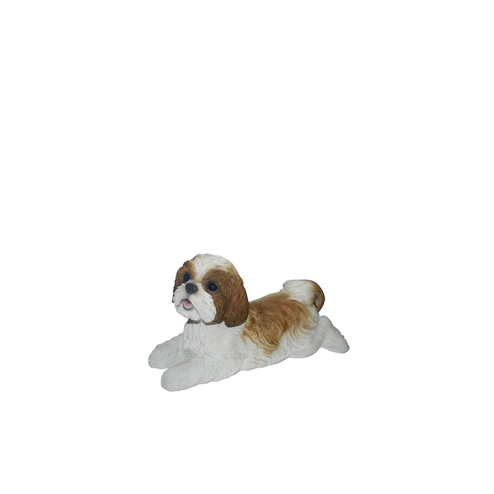 Shih Tzu Lying Down - Brown/White