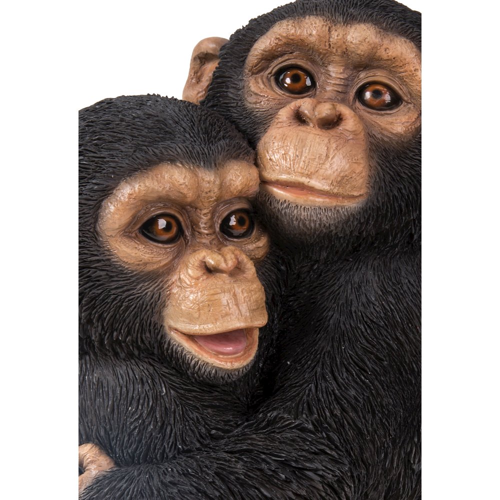 Chimpanzees Hugging