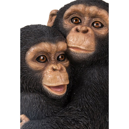 Chimpanzees Hugging