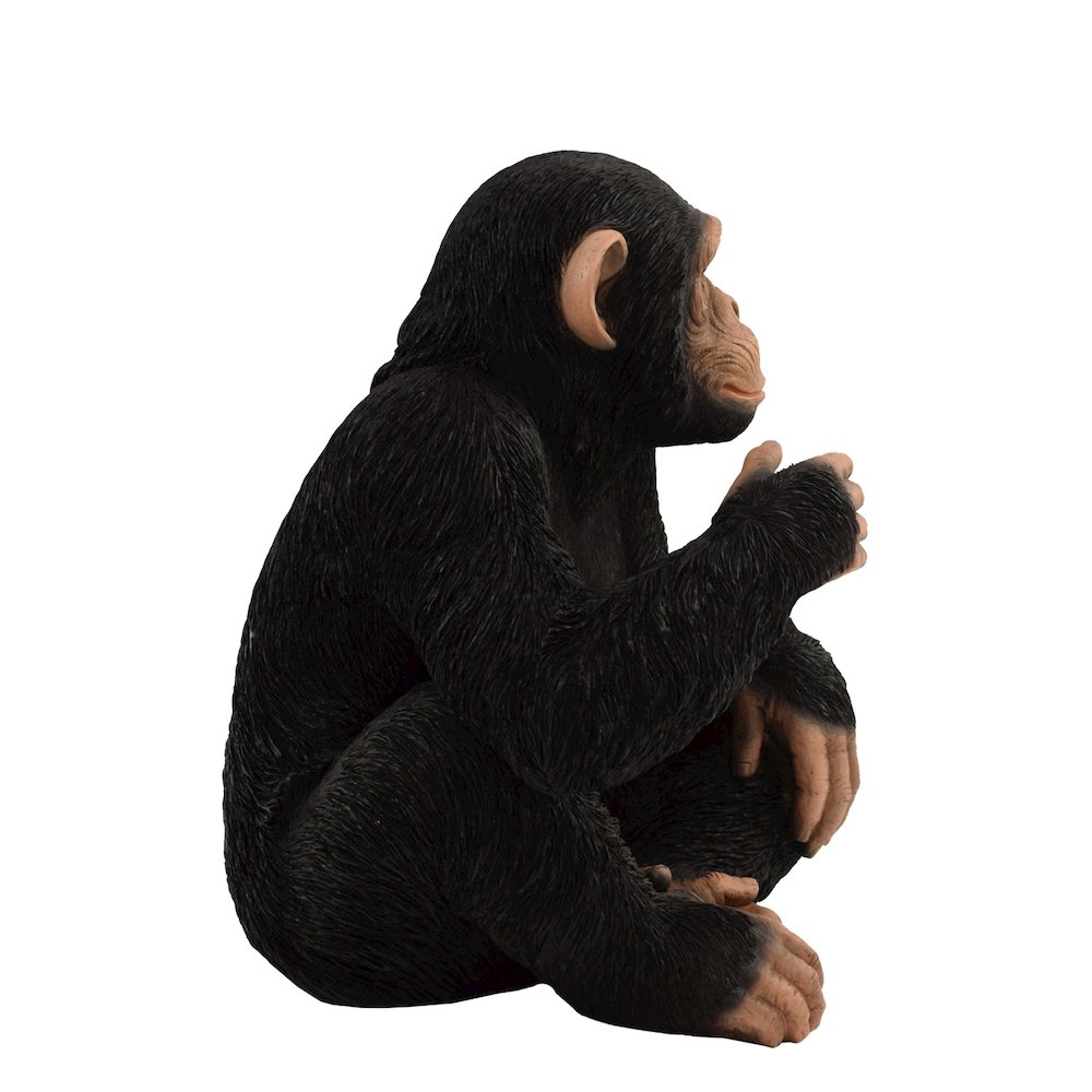 Monkey Sitting