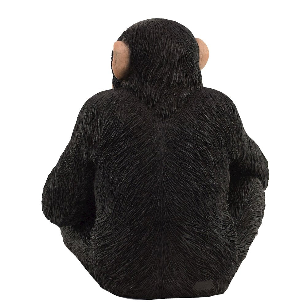 Monkey Sitting