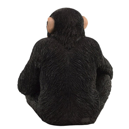 Monkey Sitting