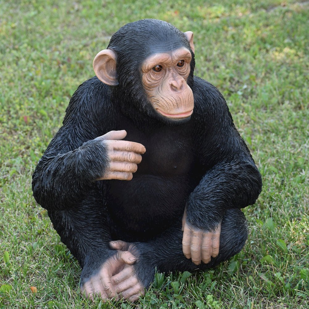 Monkey Sitting