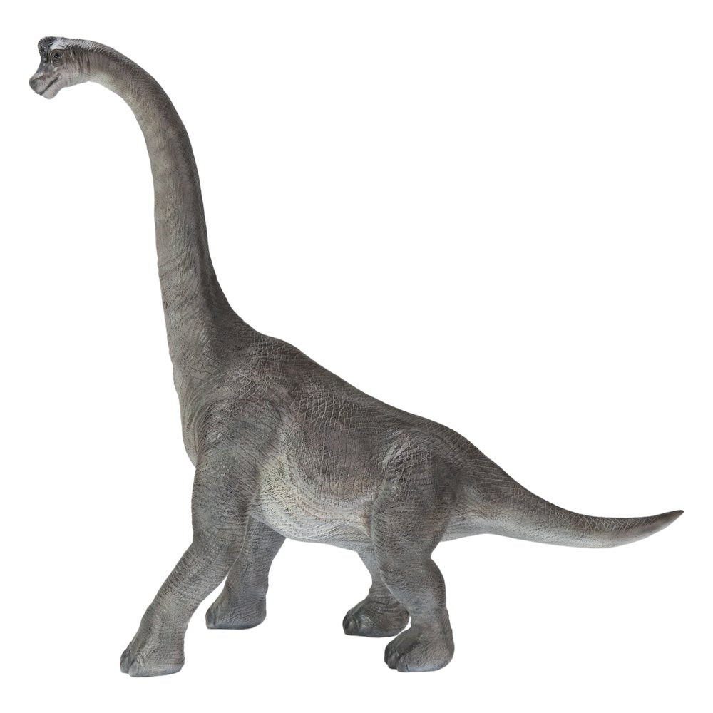 Dinosaur-Brachiosaurus