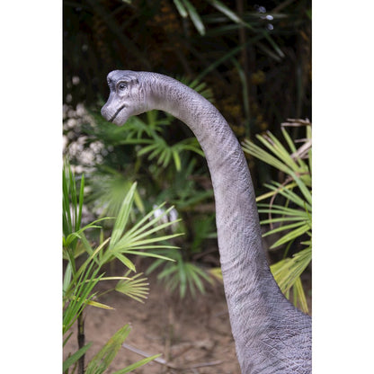 Dinosaur-Brachiosaurus