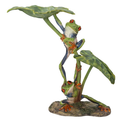 Lotus Leaf with Red-Eyed Tree Frog