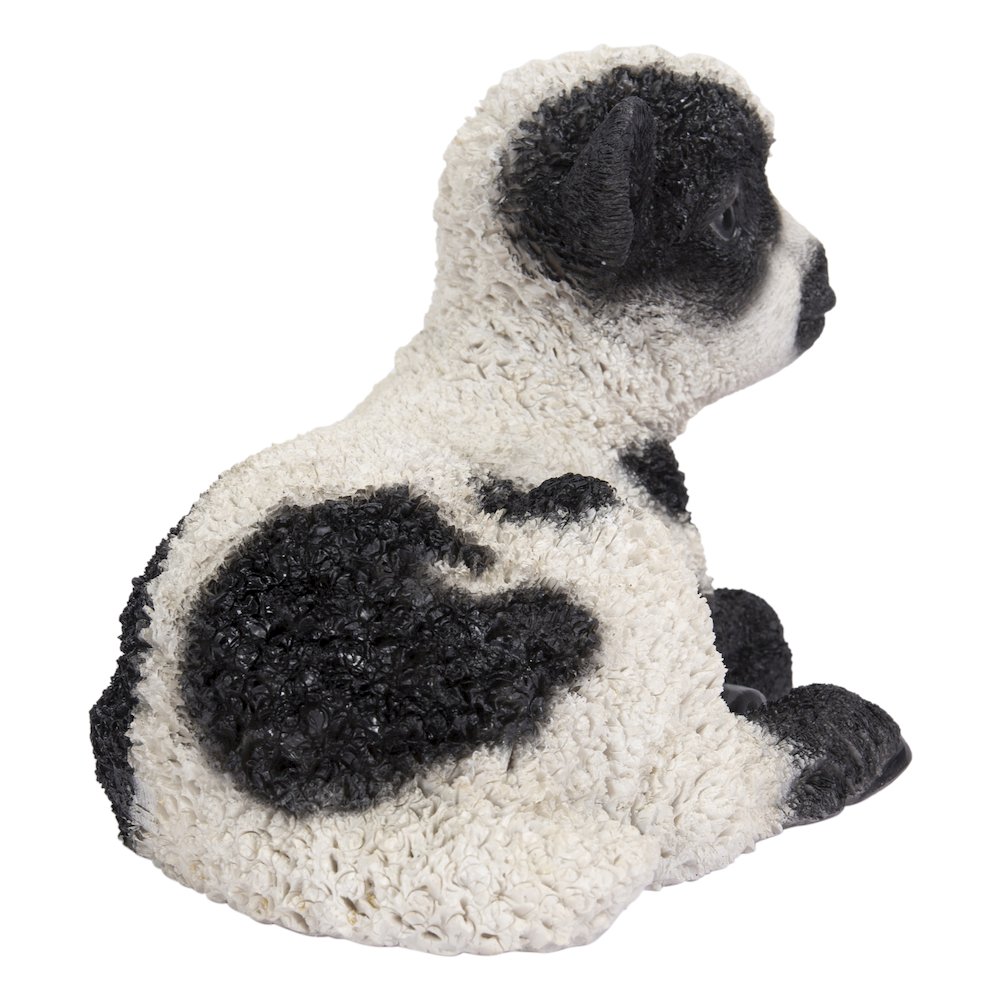 Small Black & White Baby Lamb Lying Down