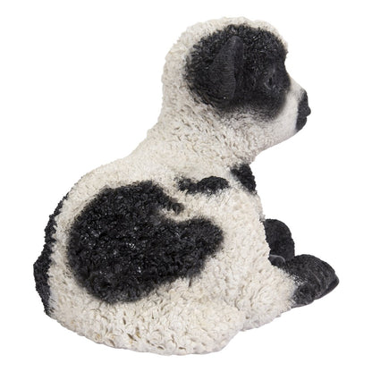 Small Black & White Baby Lamb Lying Down