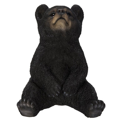 Sitting Black Bear Cub with Head Up