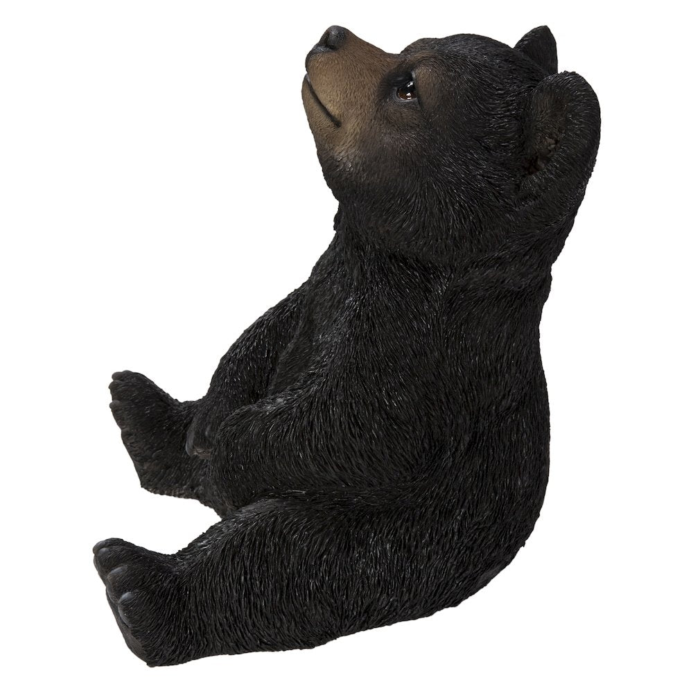 Sitting Black Bear Cub with Head Up
