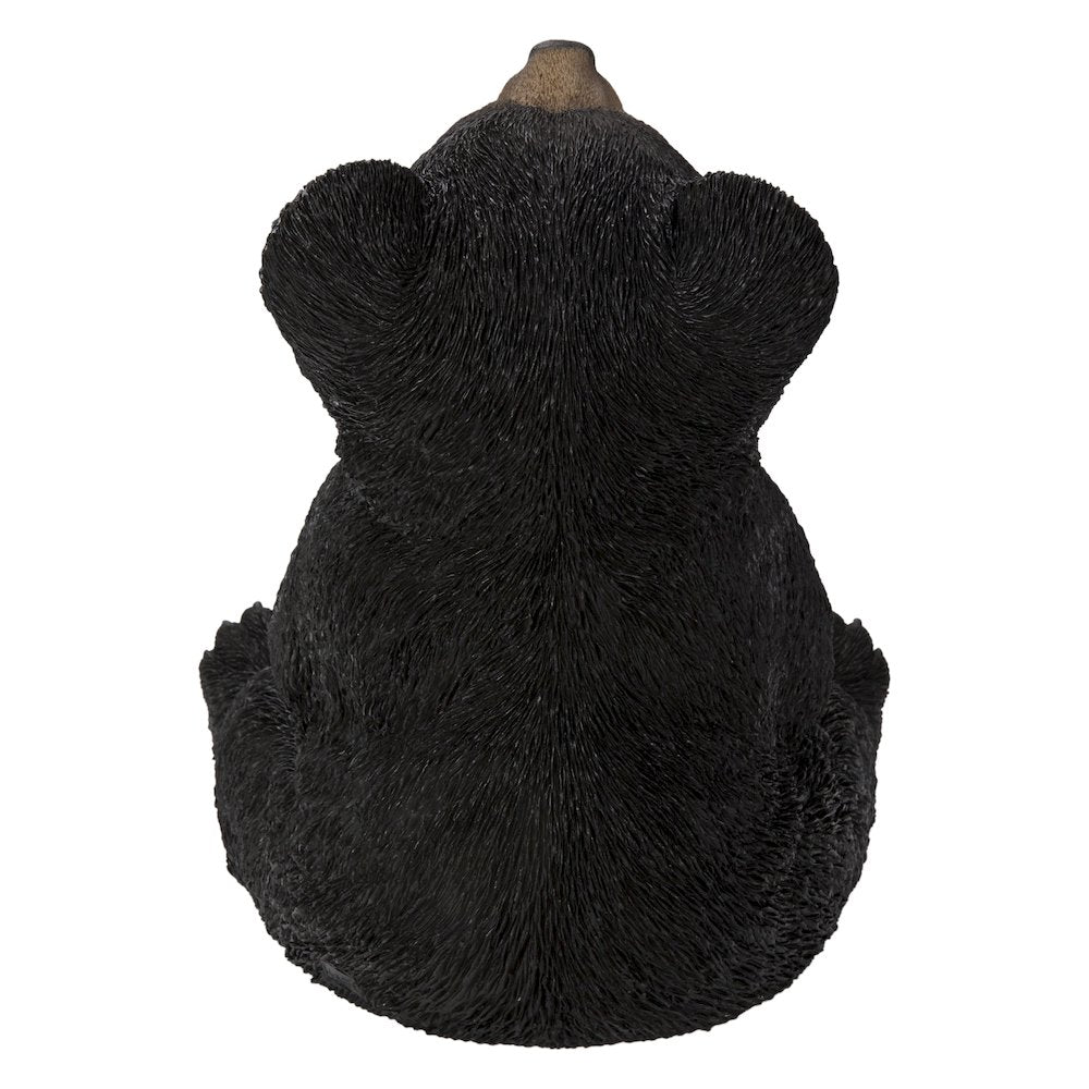 Sitting Black Bear Cub with Head Up