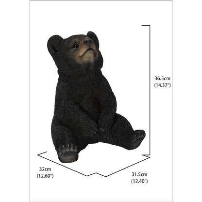Sitting Black Bear Cub with Head Up