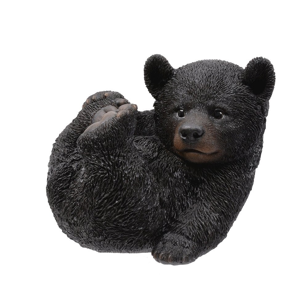 Baby Black Bear Lying