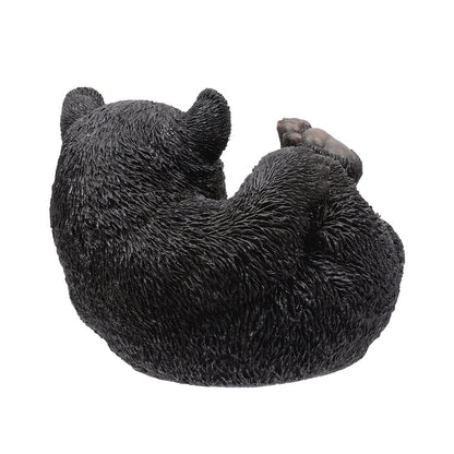 Baby Black Bear Lying
