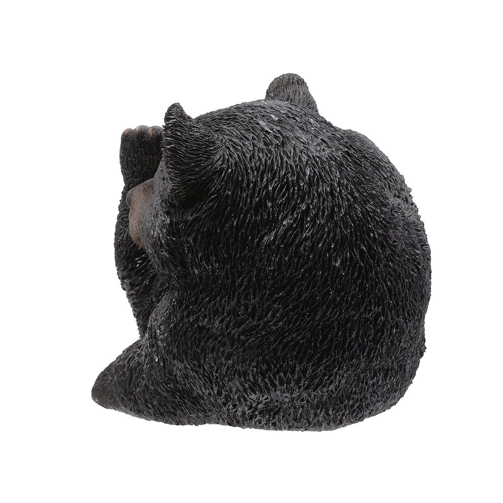 Baby Black Bear Lying