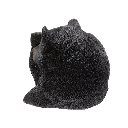 Baby Black Bear Lying