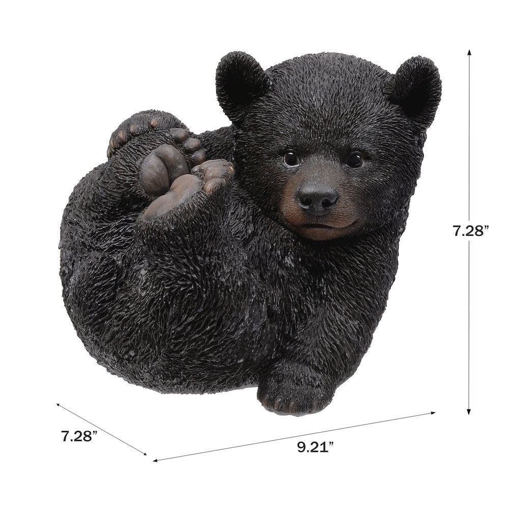 Baby Black Bear Lying