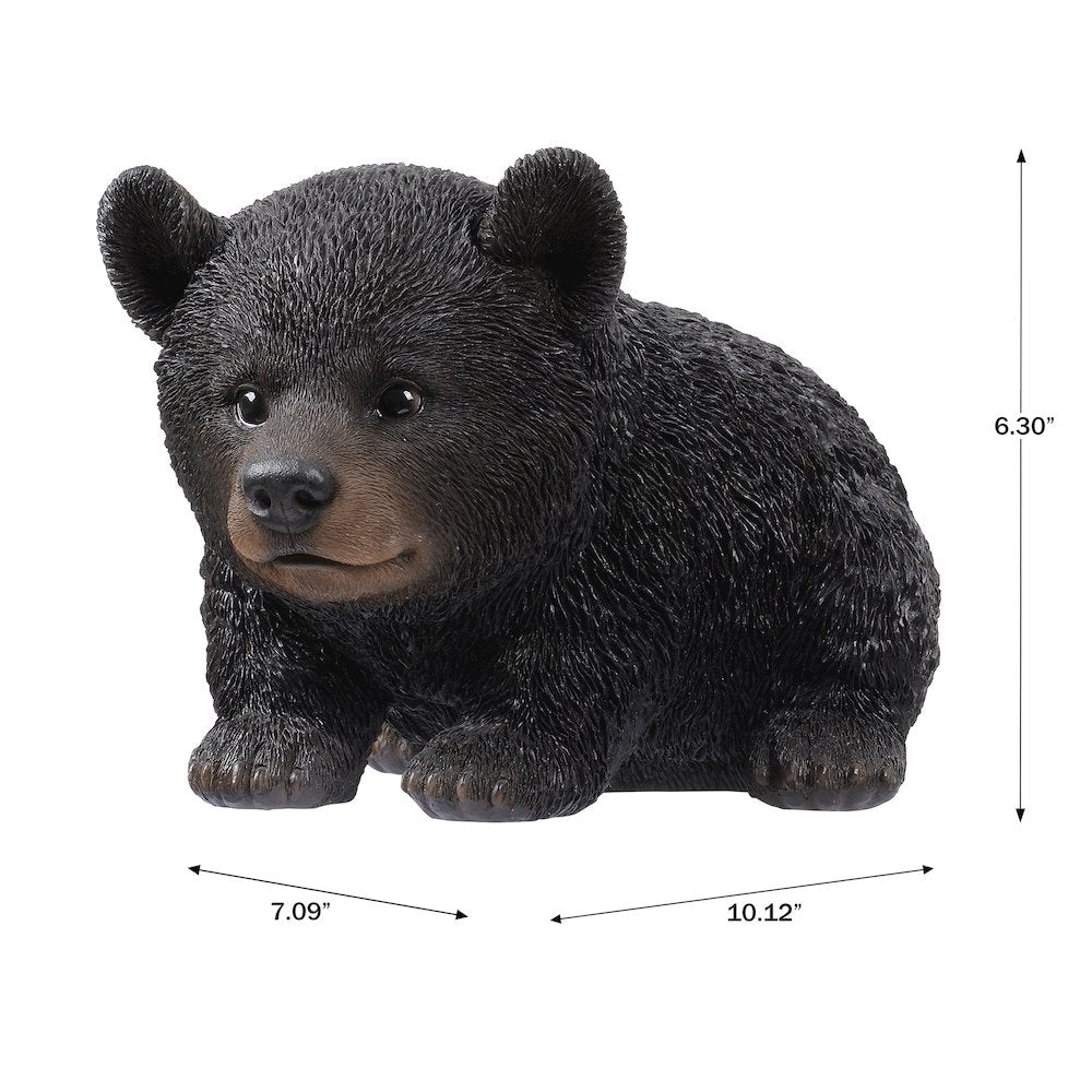 Baby Black Bear Crawling