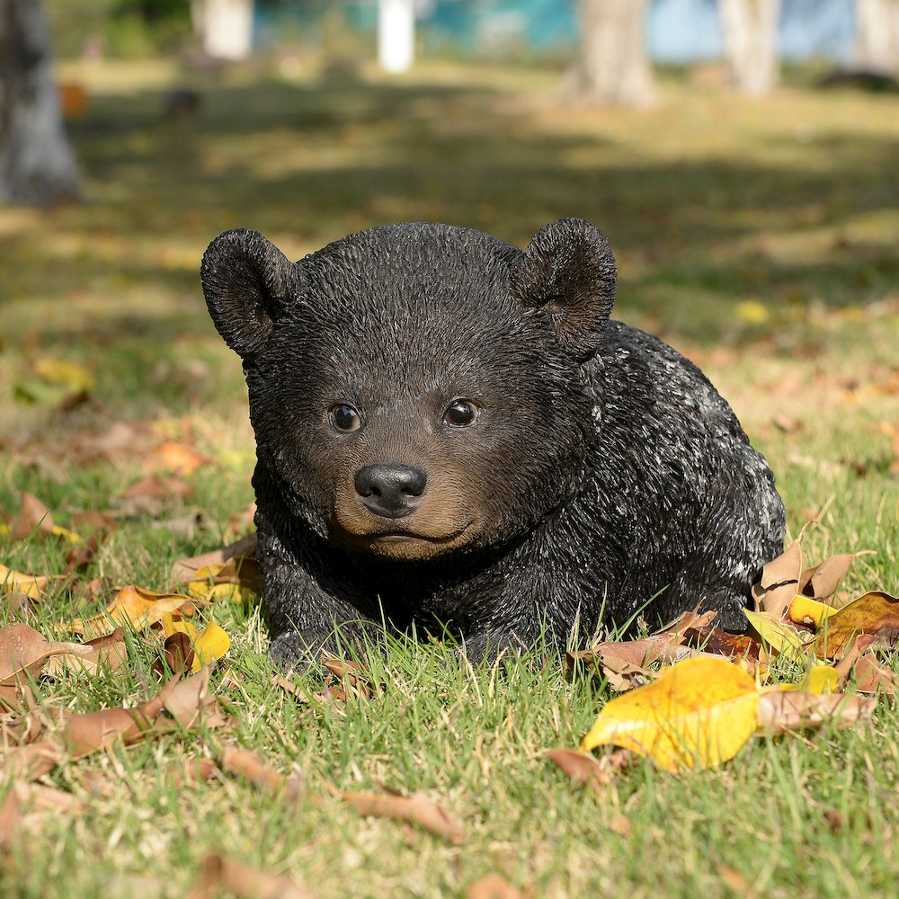 Baby Black Bear Crawling