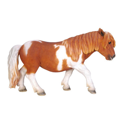 Shetland Pony-Brown/White