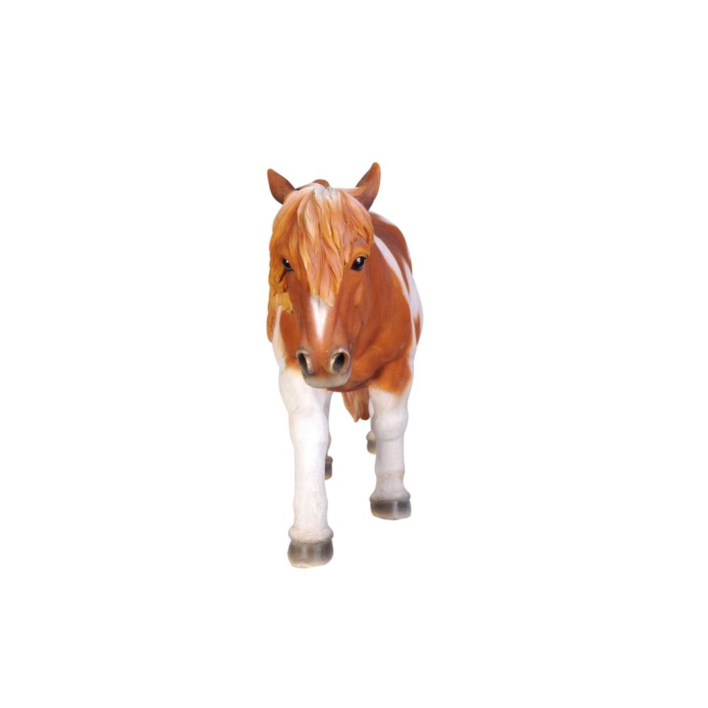 Shetland Pony-Brown/White