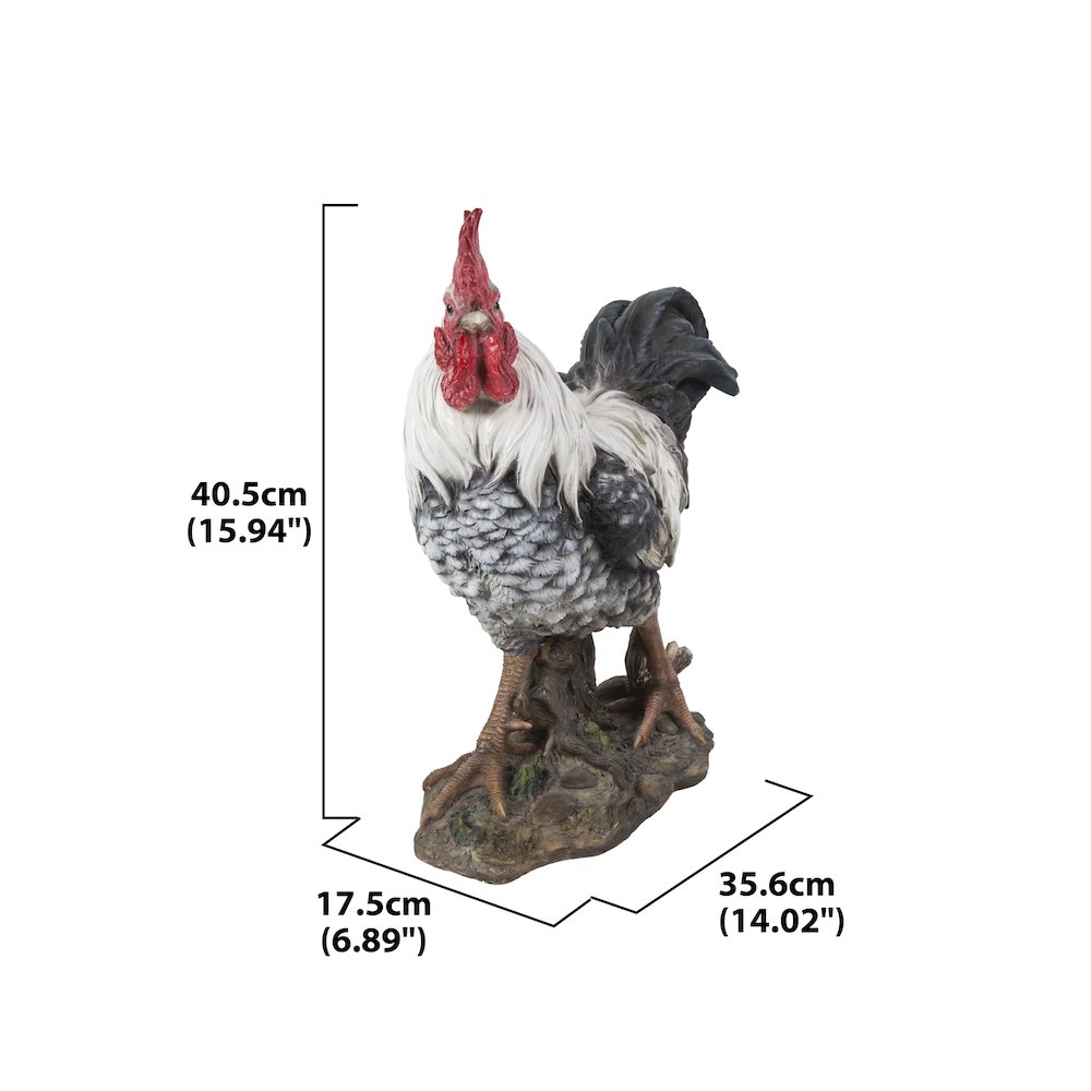 Rooster - Black & White