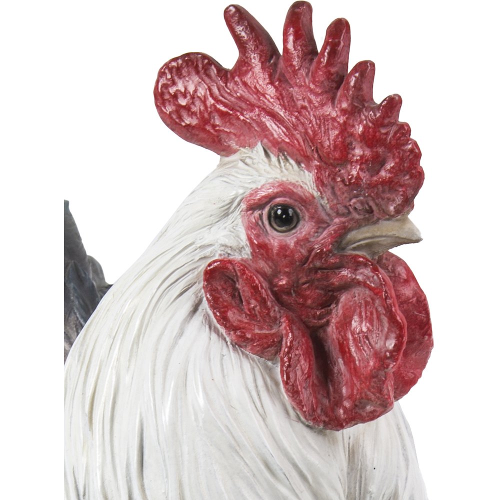 Rooster - Black & White