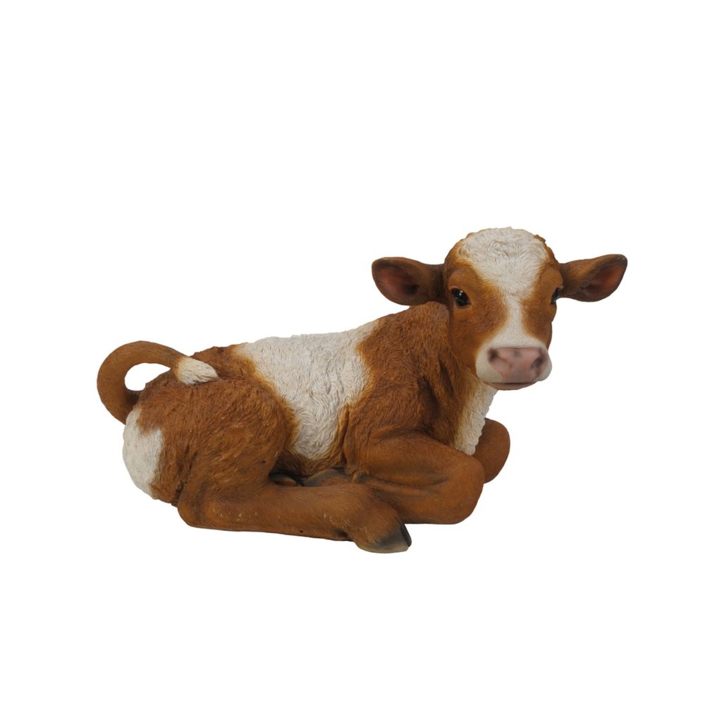 Brown & White Cow Laying Down