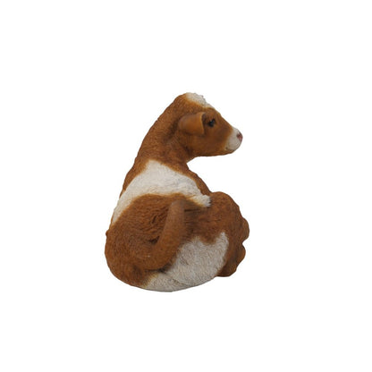 Brown & White Cow Laying Down