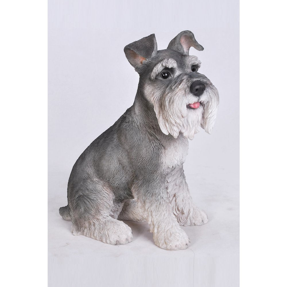 Grey Schnauzer Statue