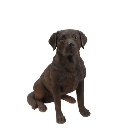 Brown Labrador Retriever Sitting
