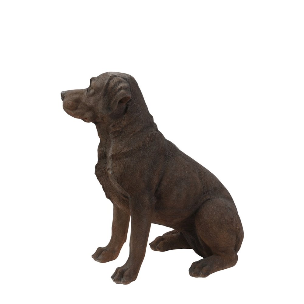 Brown Labrador Retriever Sitting
